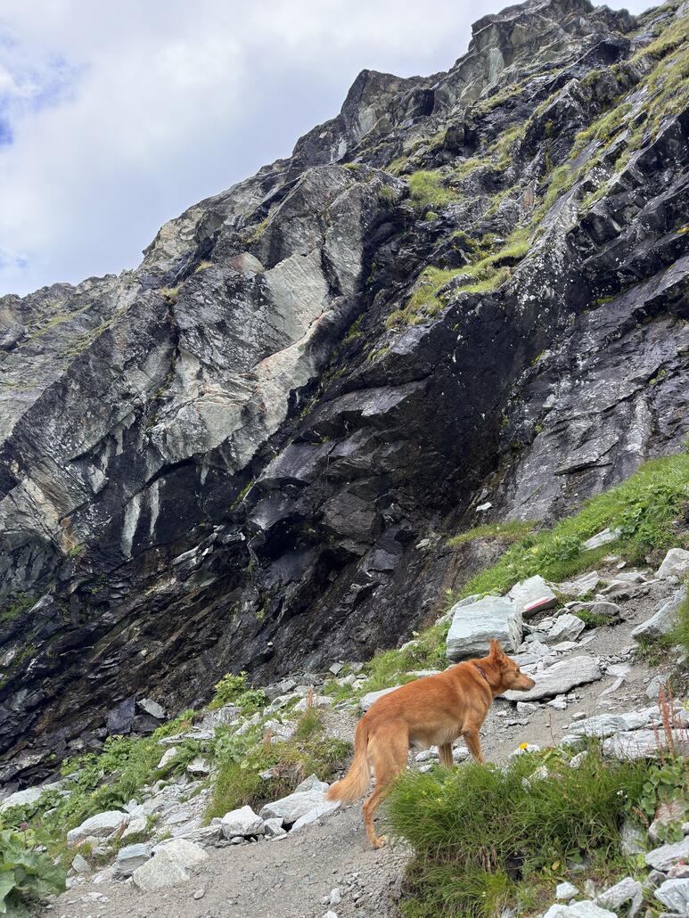 Immer schön im Zickzack