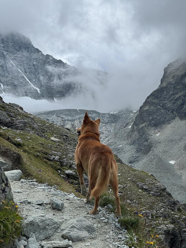 Gucken ob was entgegen kommt