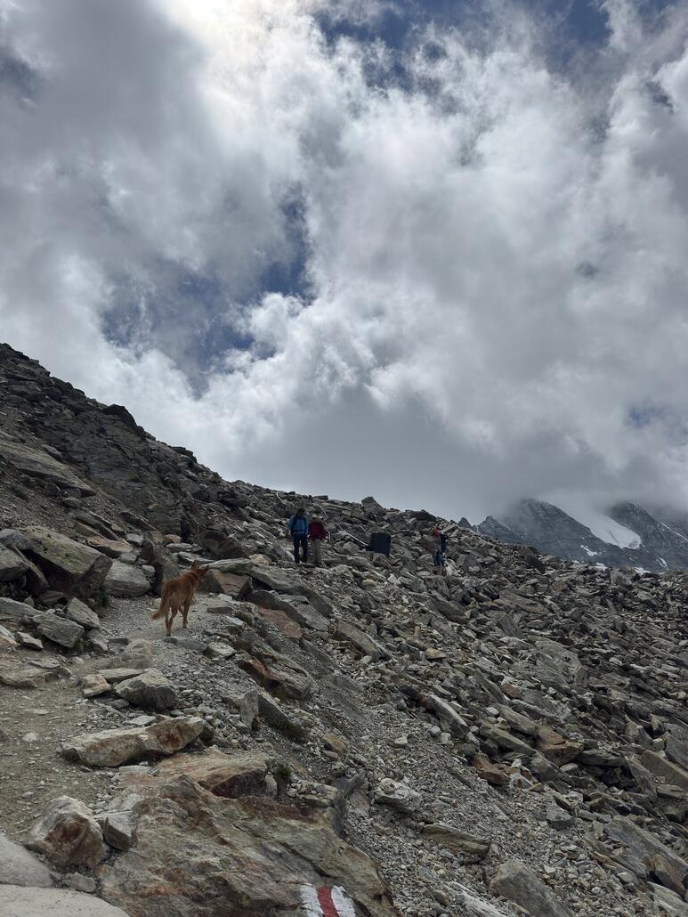Dann wir das Gelände bockig