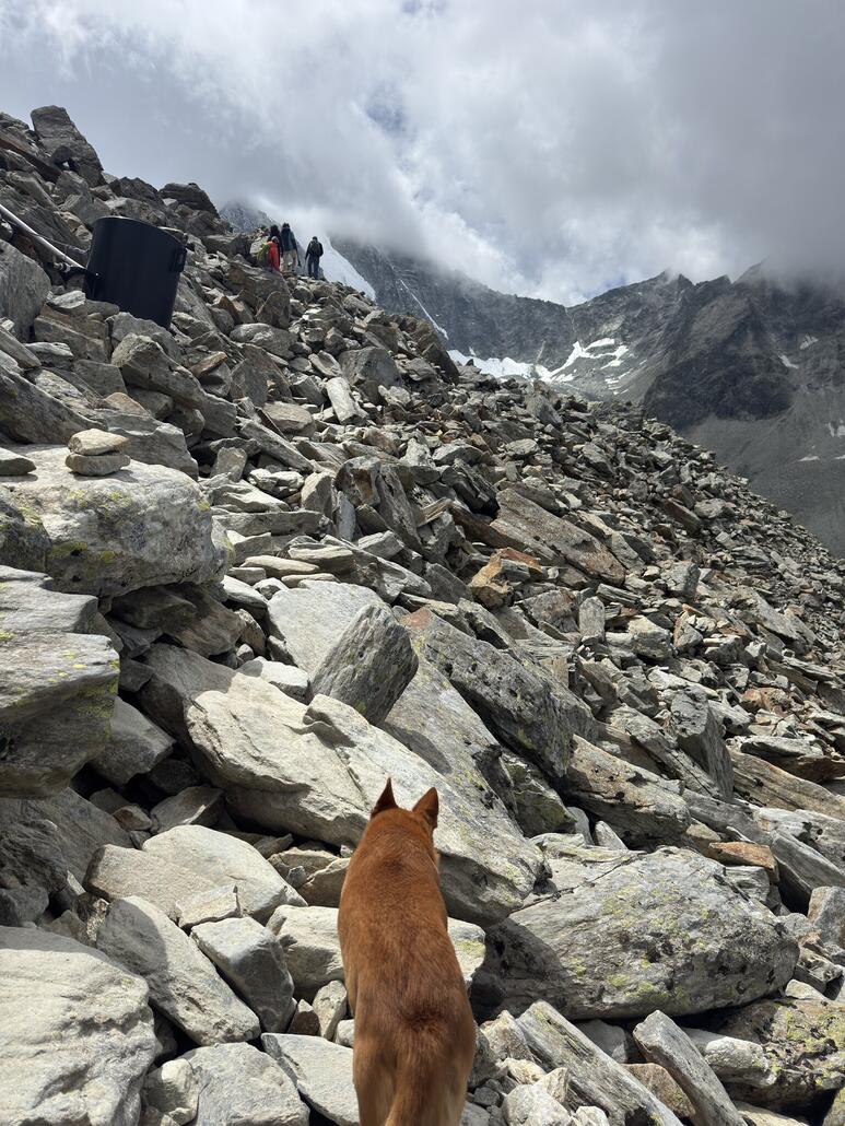 Für Skype ist es nicht so einfach sich auf diesen kantigen Felsen vor zubewegen