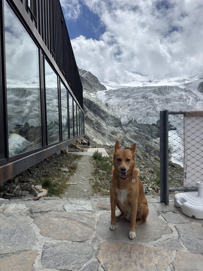 Erinnerungsfoto an Skype