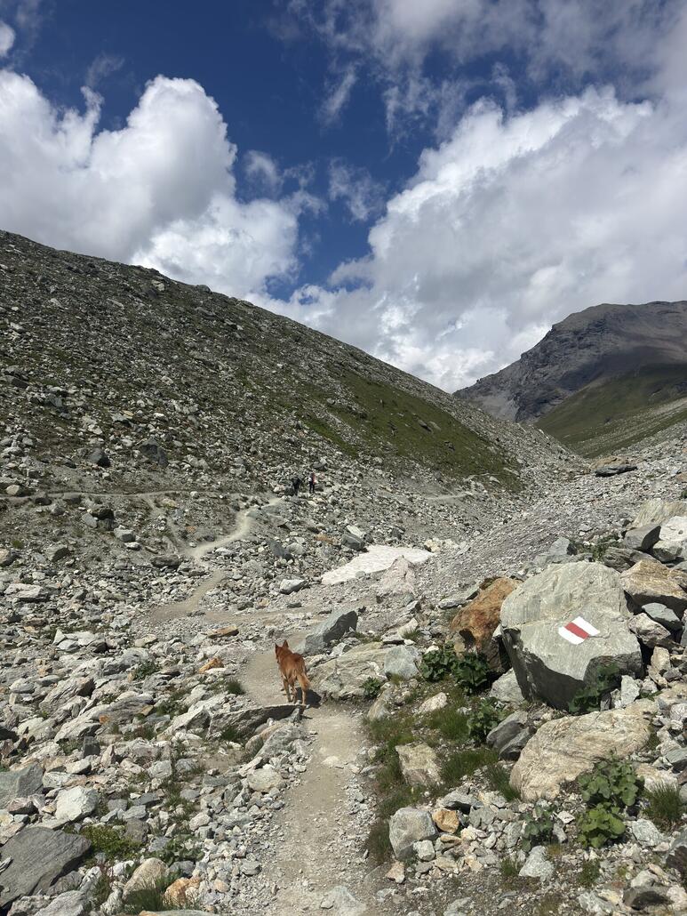 Wieder auf die Moräne