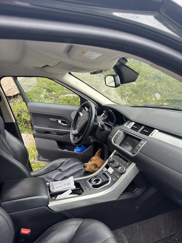 Wieder im Auto, Skype übernimmt das Steuer und ich darf mich auf den Beifahrersitz setzen