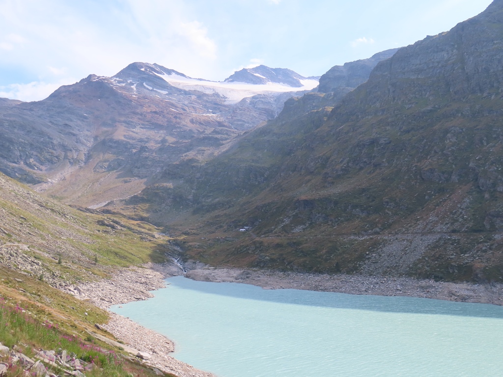 Eines der vielen Rothörner in der Gegend
