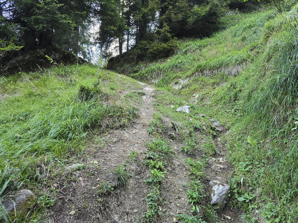 Der Aufstieg im Wald ist zeitweise durchaus steil.