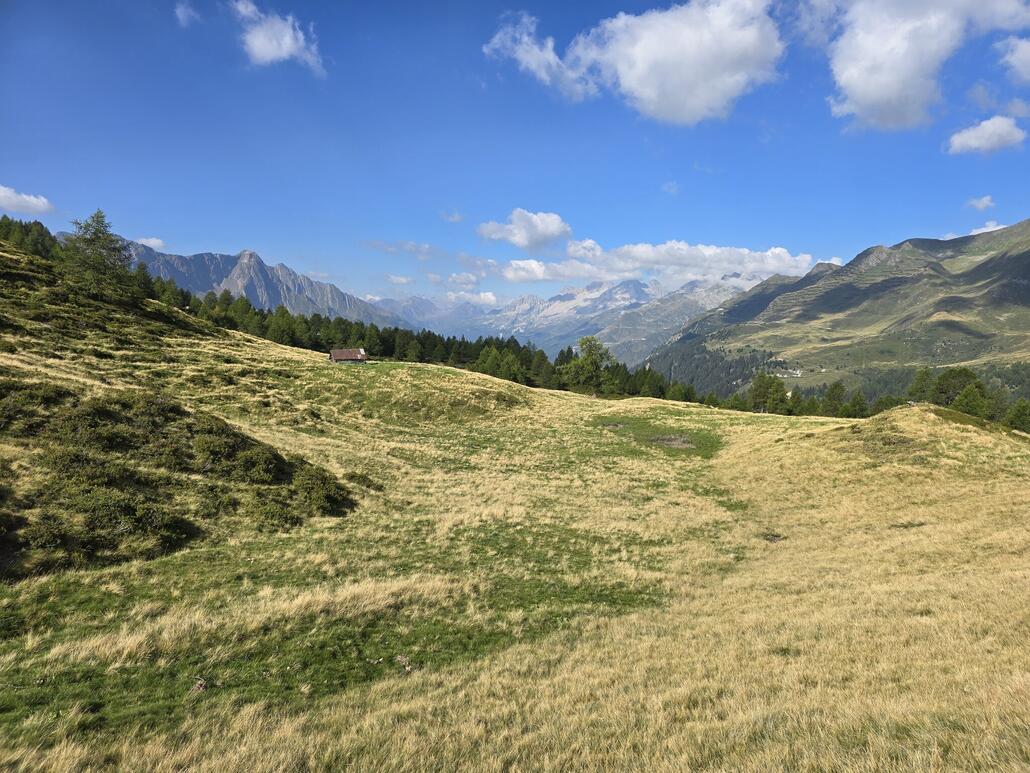 Nach einer Weile erreichen wir die Waldgrenze...