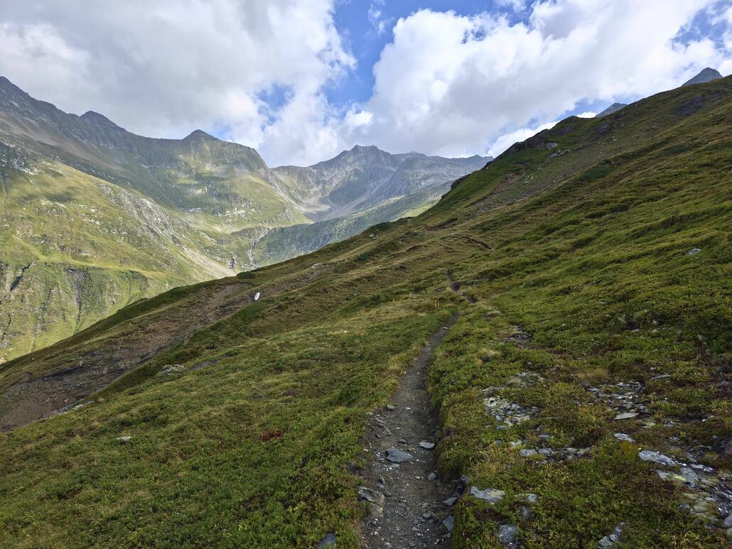 Weiterer Wegverlauf. Es geht immer der Talflanke entlang mit meist sanfter Steigung nach oben.