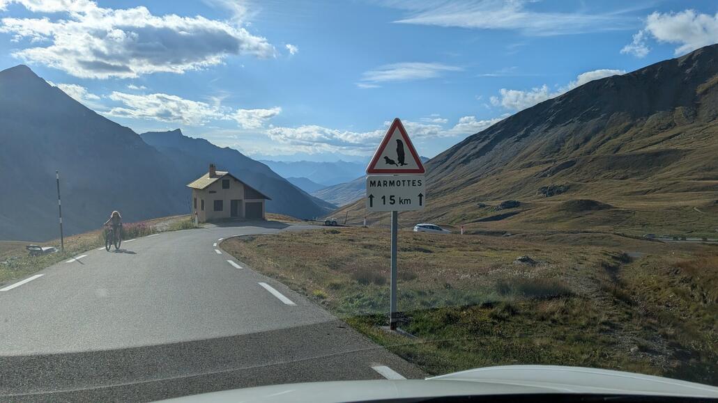 Auf der Passstrasse wird nicht vor Kühen oder Rehen gewarnt, sondern vor Murmeltieren!