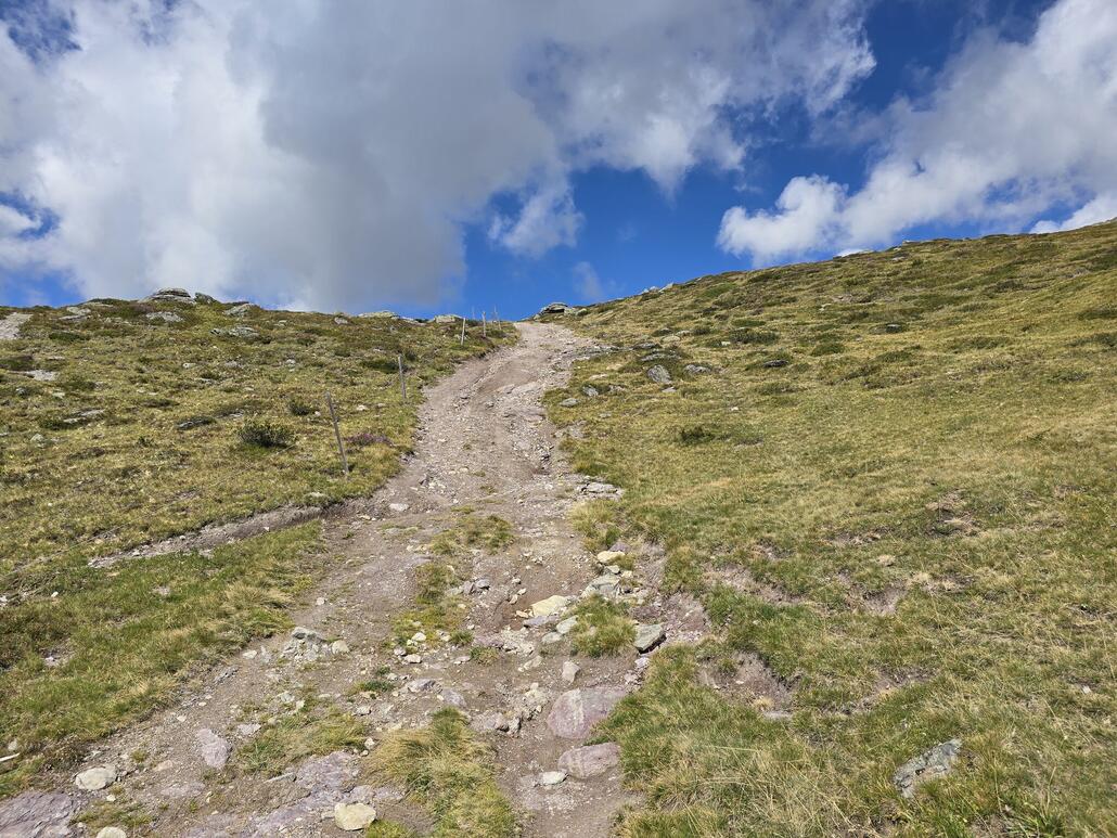 Unfahrbarer Kuhweg nach der Alp de La Creusch. Das GPS zeigt mir beim Schieben Steigungen von bis zu 30% an.