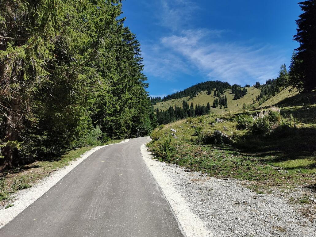 14. Was ich nicht erwartet habe ist die Asphaltstraße auf halber Strecke runter.