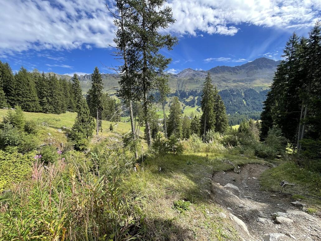Links im Bild, auf der Wiese, verläuft im Winter die Piste „Farbela“, die aber nur selten geöffnet ist.
