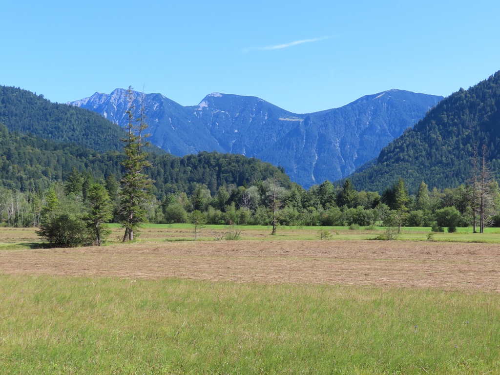 Blick zu den Bergen hinter dem Loisachtal
