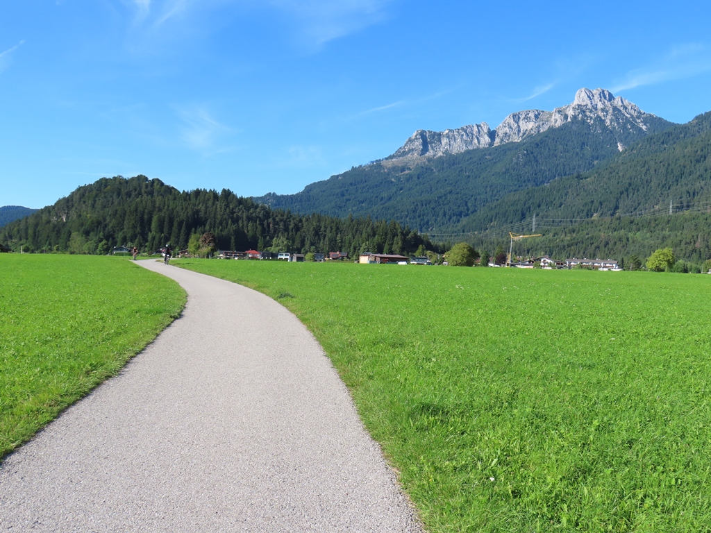 Säuling aus der Nähe von Reutte