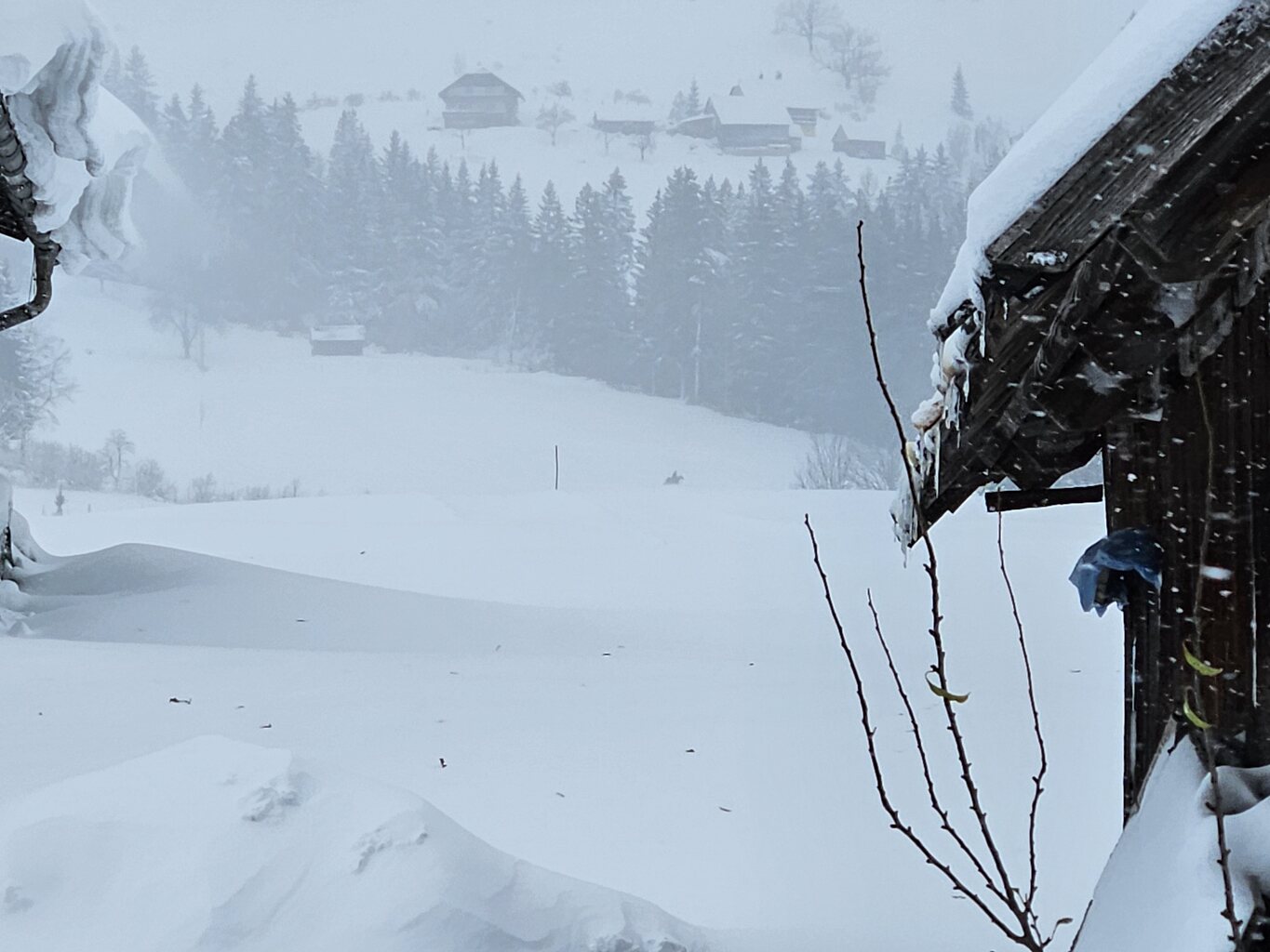 Das Phantom von Tauplitz.