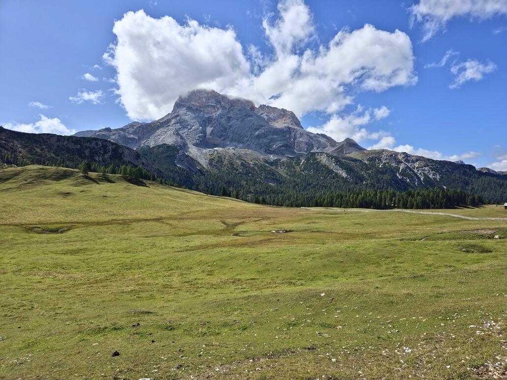 Wieder zurück auf der Plätzwiese