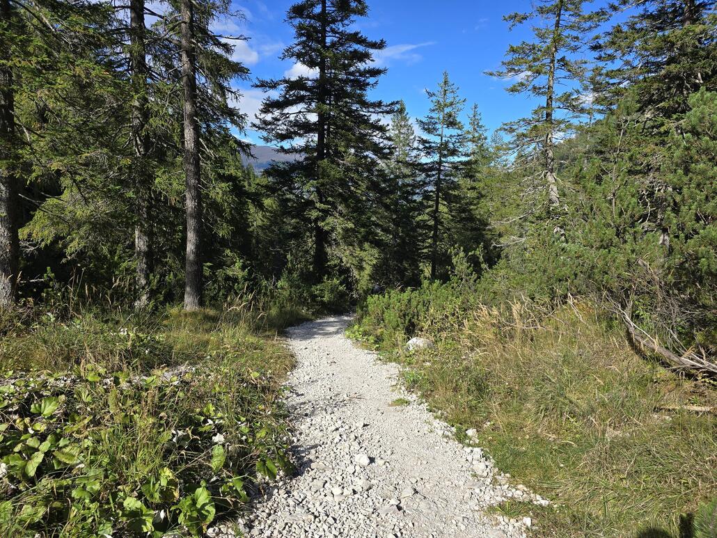 Technisch einfacher, aber landschaftlich reizvoller Trail auf den Weg nach unten