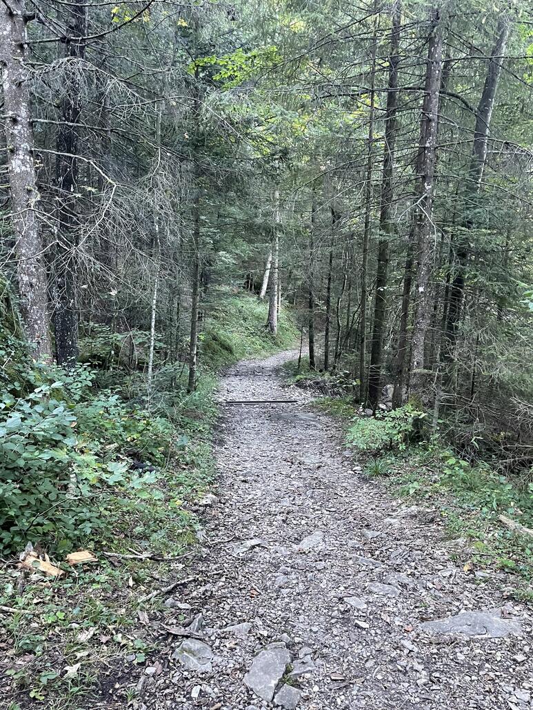 Zu Beginn wie erwartet uninteressant Höhenmeter bolzen im Wald.