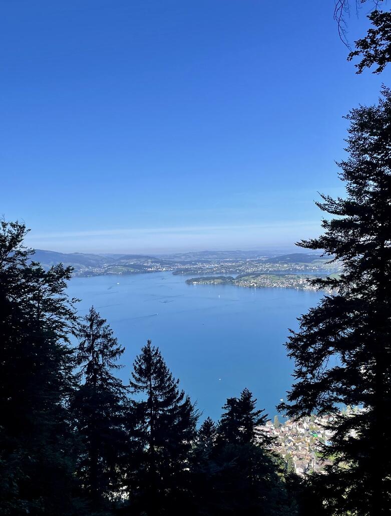 Zwischendurch immer mal einen kurzen Ausblick