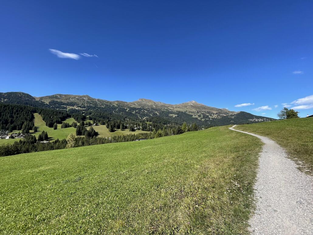 Blick zur Westseite des Skigebiets Lenzerheide. Links im Bild sind Waldschneisen zu sehen. In diesem Bereich befindet sich der kurze Schlepper Crestas mit den dazugehörigen Pisten. Nach rechts weg sind der Scalottas, der Piz Danis und das Stätzerhorn zu sehen.