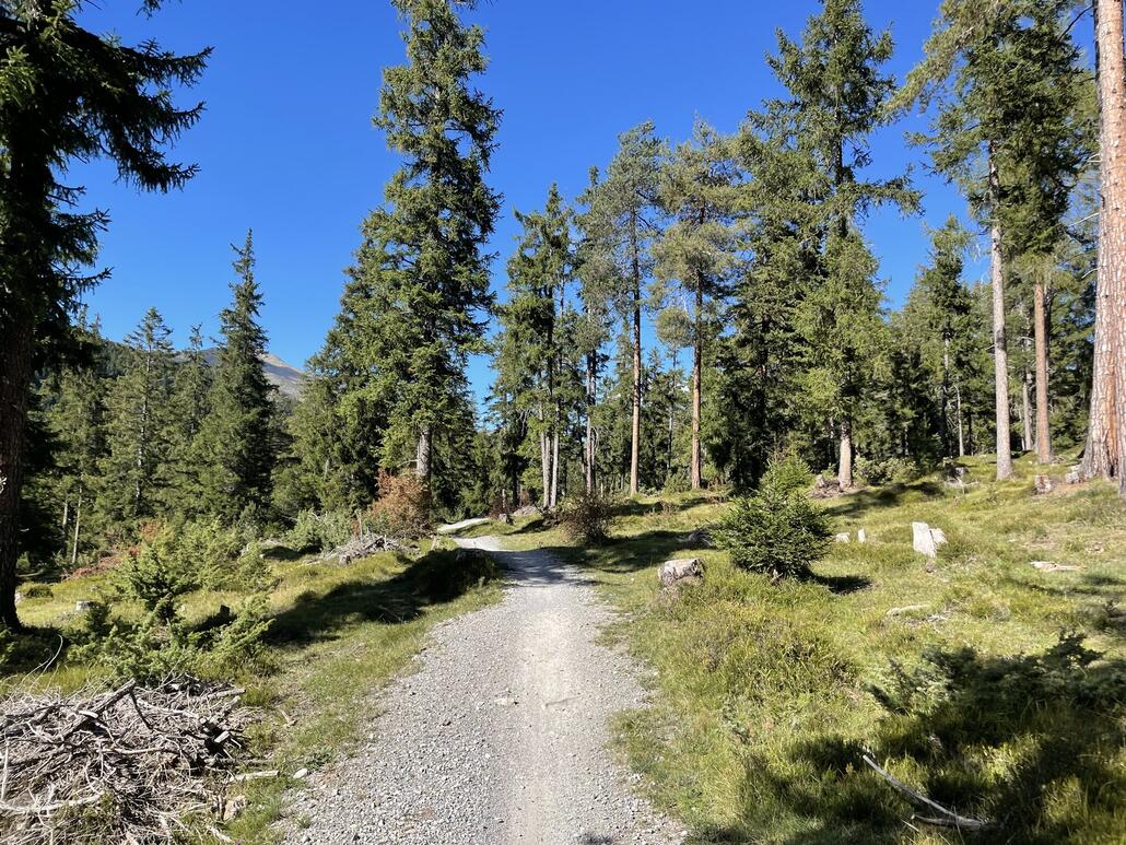 Weg zurück Richtung Lenzerheide