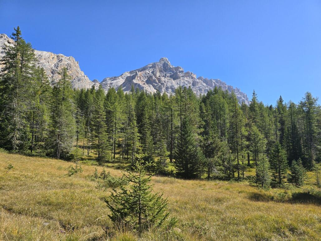 Unterwegs nach St. Kassian, Blick zum Piz Lavarela
