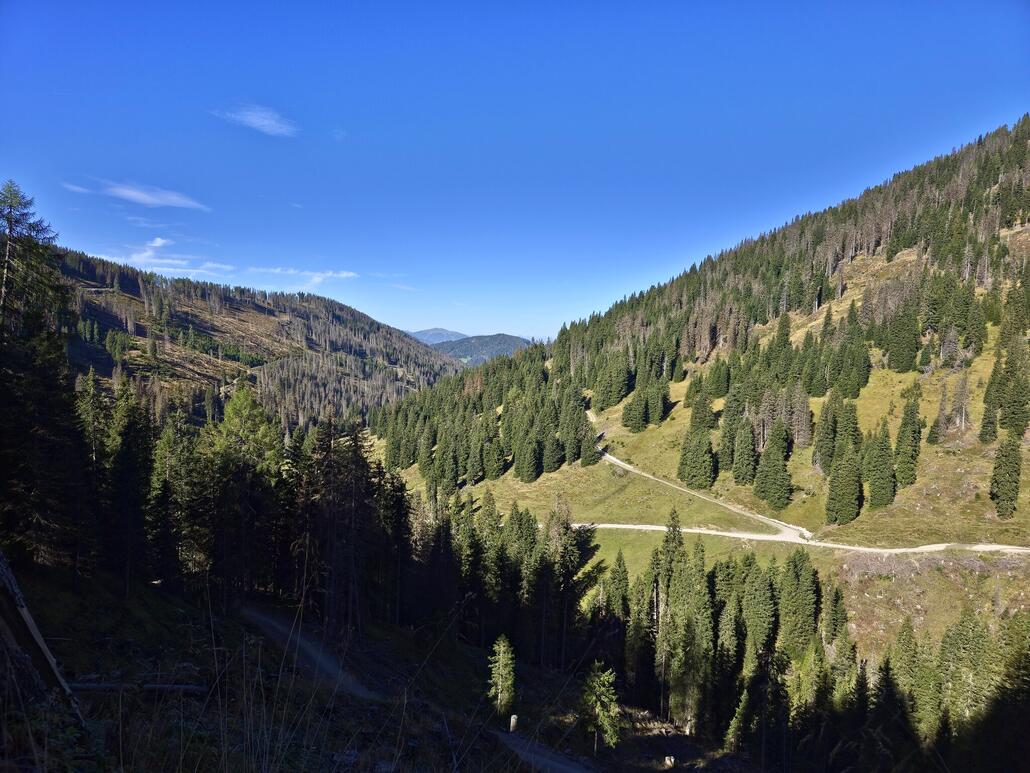 Etwas oberhalb der Alm, Blick zurück auf das Silvestertal, durch welches wir zuvor hochgefahren sind. Im Hintergrund sind der Ratsberg sowie der Kronplatz zu sehen.