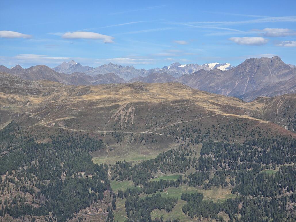 Marchkinkele im Zoom