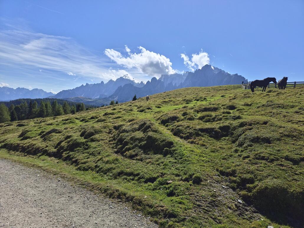 Auch hier ist die Landschaft einfach wunderschön.