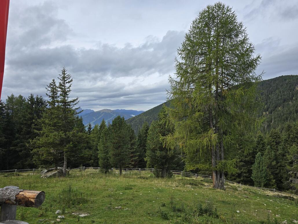 Direkt bei der Alm ist die Aussicht aber noch eher bescheiden.