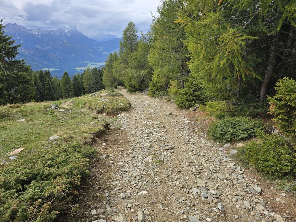 Versuch die Steilheit des Wegs oberhalb der Taistner Vorderalm fotografisch festzuhalten.