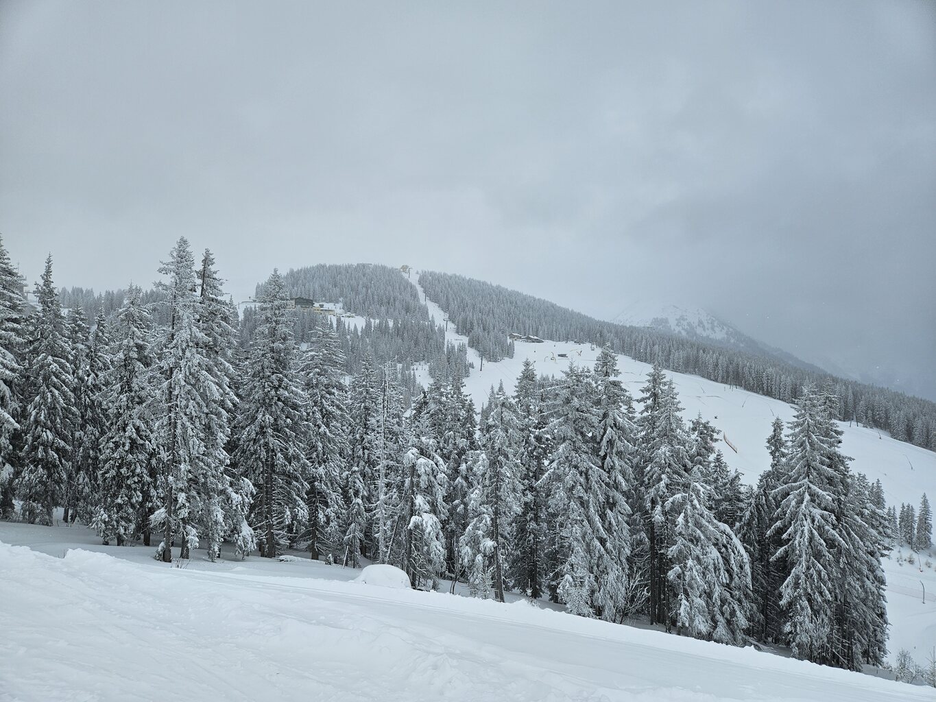 Märchenwiese war mal halb Ausgaragiert, doch um Eins herum wurde wieder in den Bahnhof gefahren.