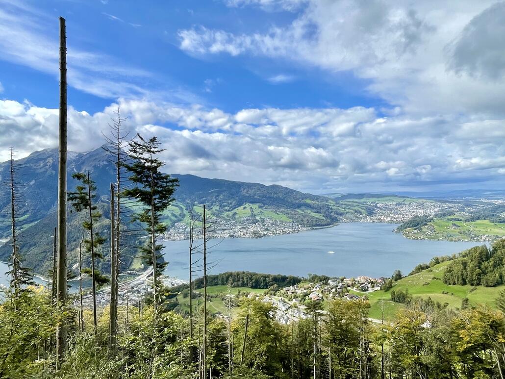 Im Anstieg zum Seewligrat