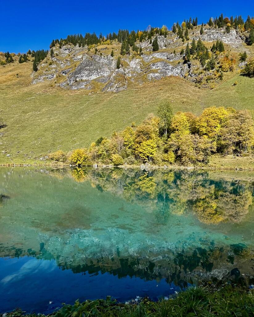 Der Waldnachtersee und die Herbstfarben…