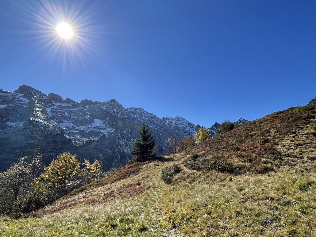 Über schöne Bunt gefärbte Wiesen gehts hoch zum Chräienhöreli