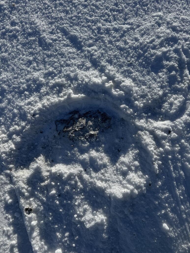 Grosser Schatz den ich da ausgegraben hab…