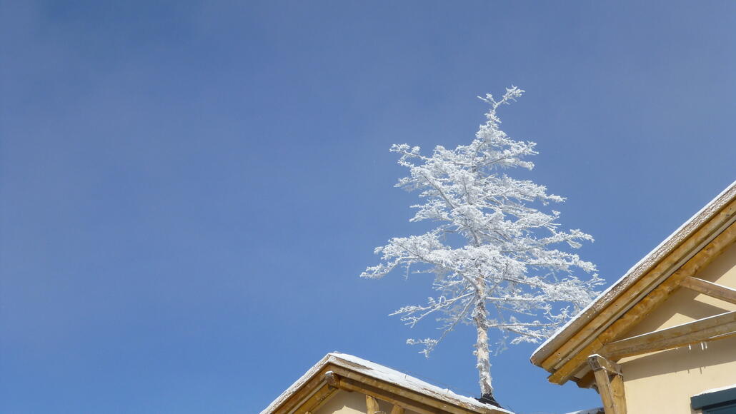 Wobei ich mich kaum sattsehen konnte an der weissen leuchtenden Pracht aus Schnee und Reif auf allen Bäumen vor dem blauen Himmel. :)
