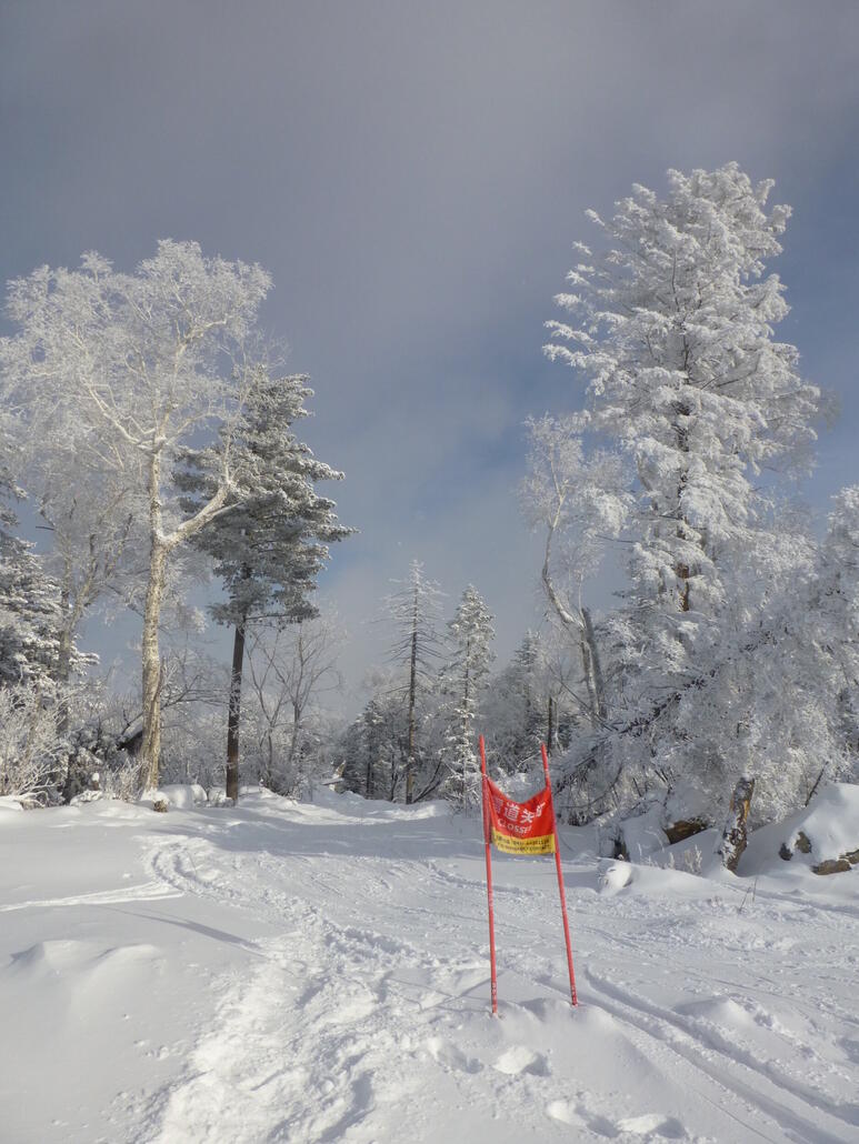 Zurück zum Skifahren, aber leider viele Pisten geschlossen… und mir war es zu riskant, alleine in Fernost und bei der Kälte trotzdem dort abzufahren.