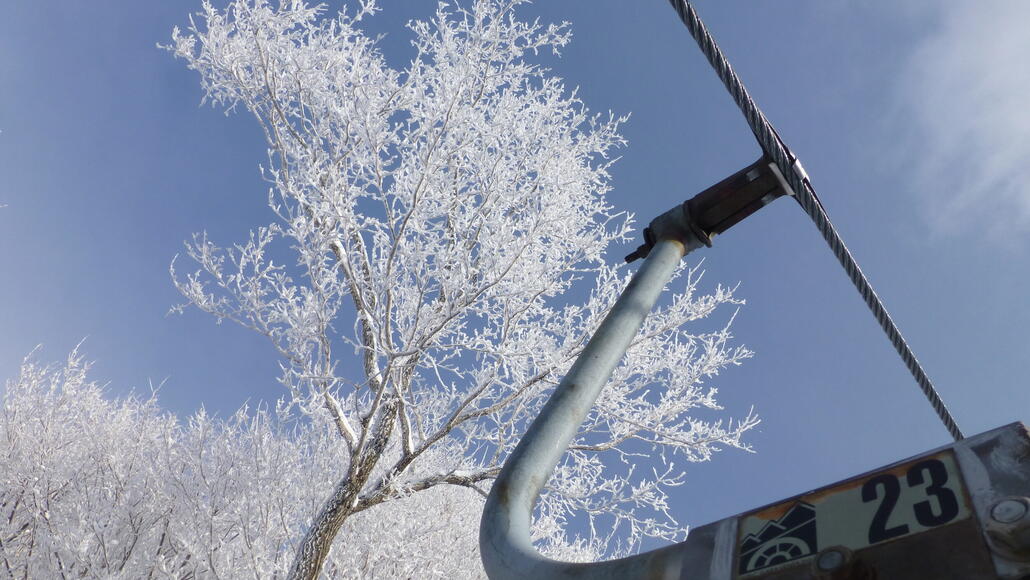 Und oben lassen sich doch noch etwas in weiss gekleidete Bäume bewundern, top!