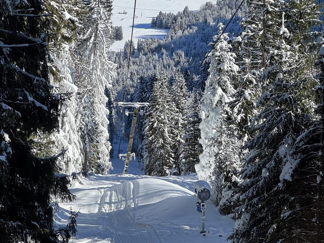 Blick auf die doch recht steile Trasse - seit diesem Winter wird neben ihr auch noch eine Abfahrt beschneit.
