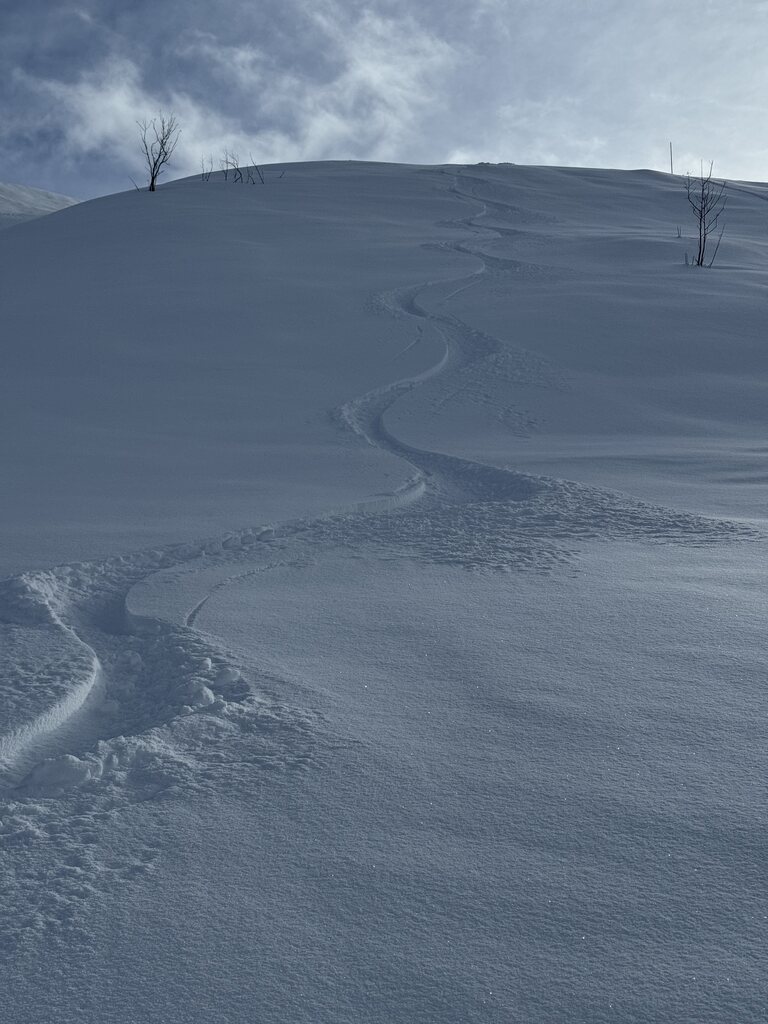 ... und unbefahrene Powderhänge