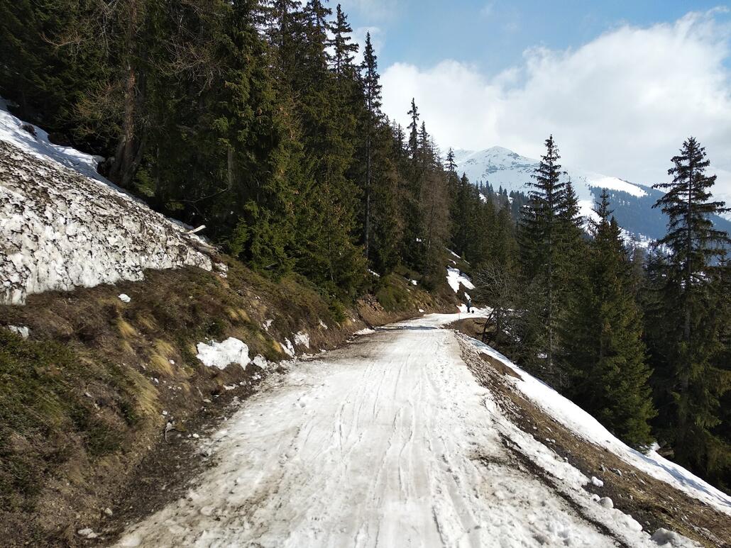 2021-04-03 Planards-Carrefour 2