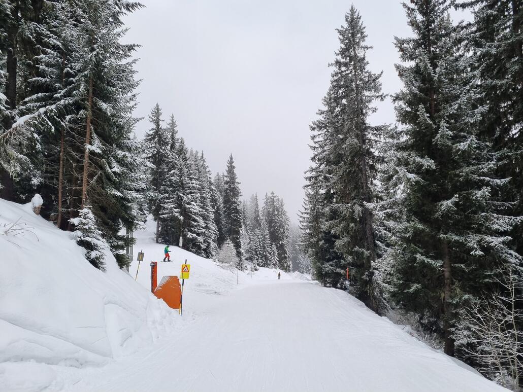 Talabfahrt mit schneebedeckten Bäumen, ohne Steine