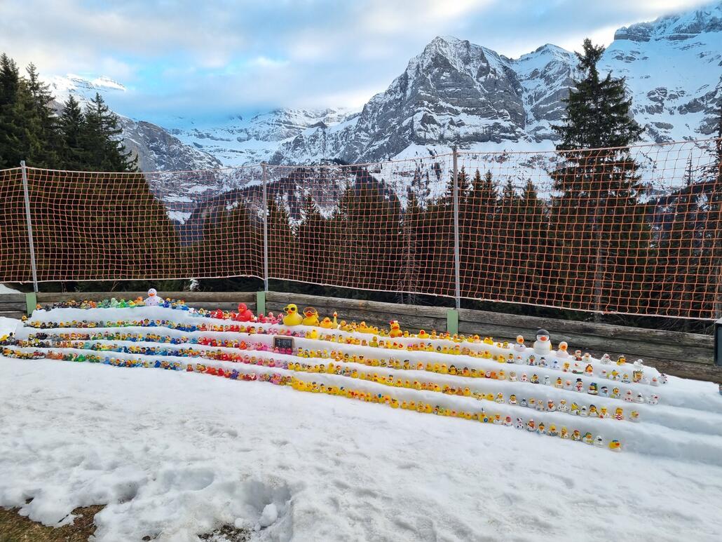 Am Planachaux Sessel ist bald kein Platz mehr für mehr Gummienten. Die Piste war im unteren  Teil voller Steine. Konnte aber über die blaue Umfahrung gelöst werden