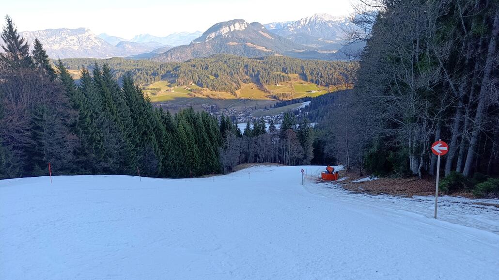 mittlere Rote (19) im Schatten gut. teilweise etwas Knollig
