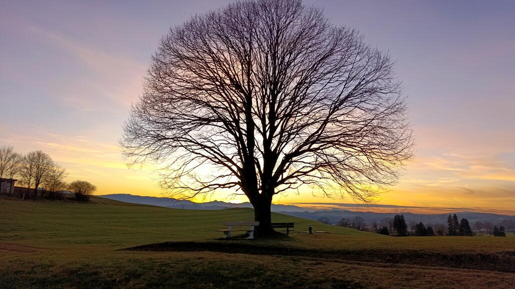 Rätsel: Wo bin ich?