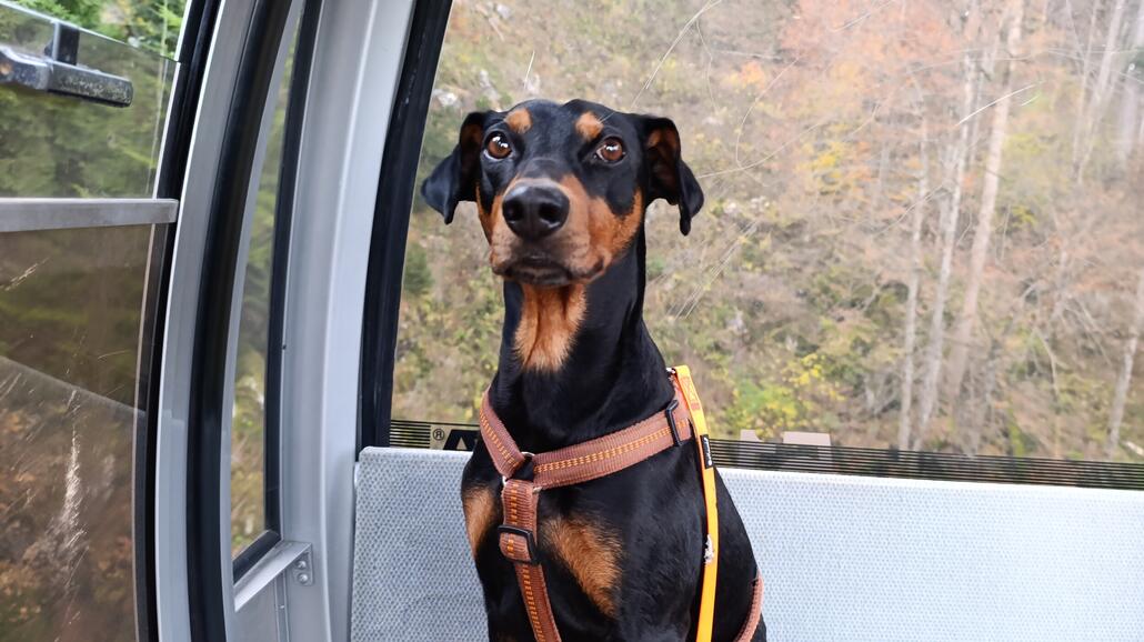 älteres Foto recycelt, "Symbolbild"