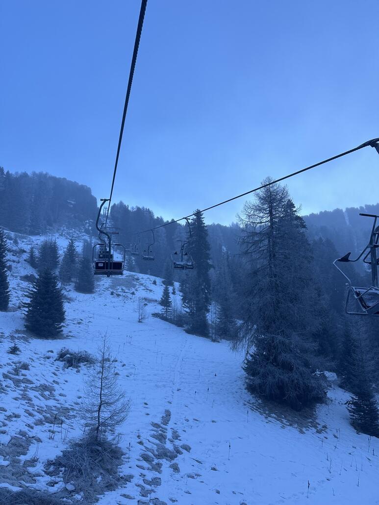 DSB Lärchenhang II, es lichtet sich wieder :) kein Mensch ist die DSB heute gefahren