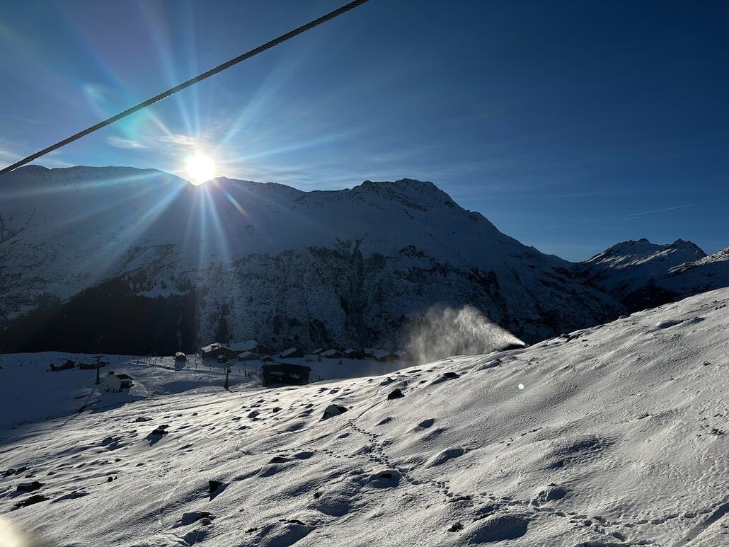 Milez im Morgenlicht