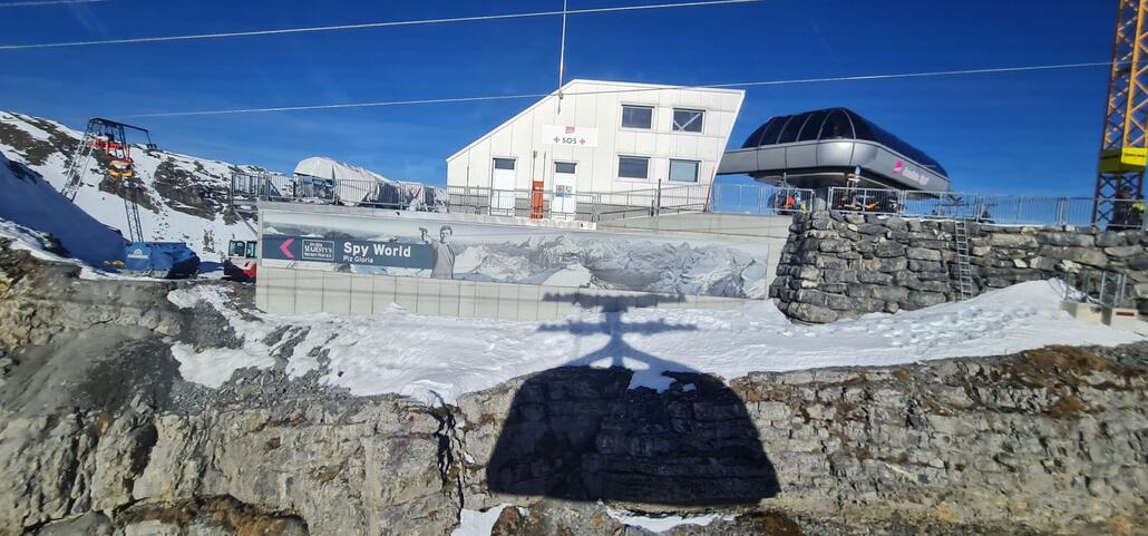 Diesmal ohne Beisser...