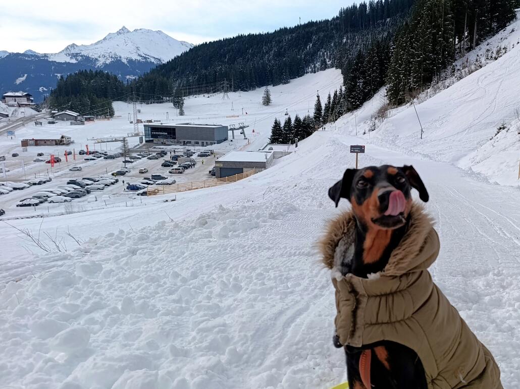 Start um 8Uhr mit Gassi gehen...